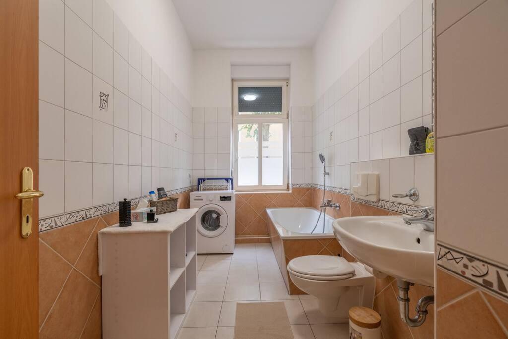 Zentrales Gemuetliches Apartment In Der Suedvorstadt